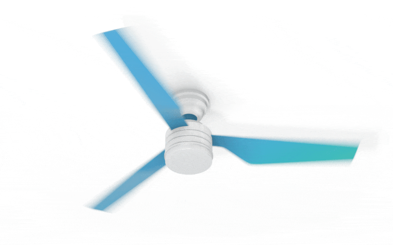 Ceiling fan